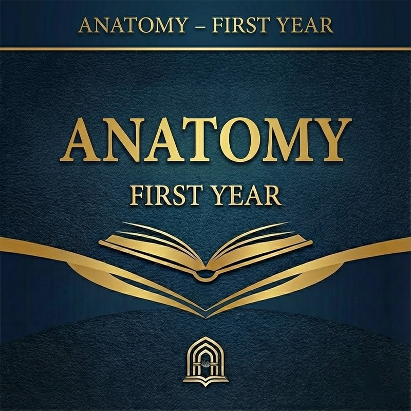 Anatomy – First Year